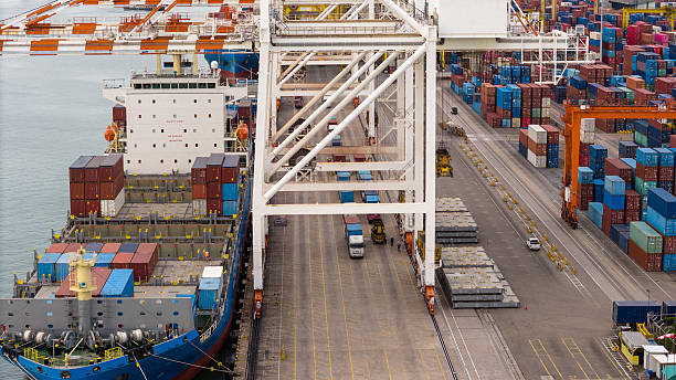 How Biodegradable Packaging, Consolidated Shipping, and Carbon Offsets Redefine Eco-Friendly International Forwarding